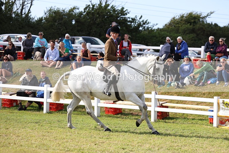 3E7A3871 - Supreme Championship