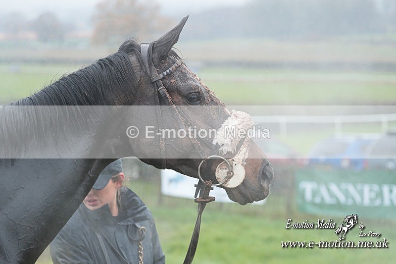 PtP 031223 416 - Wheatland Hunt PtP Chaddesley Races 03/12/23