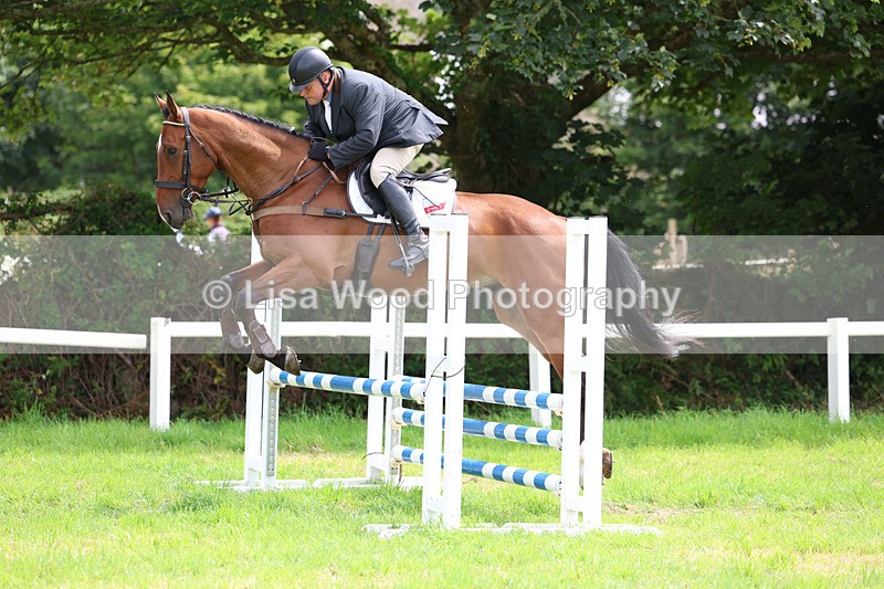 3E7A6880 - Class 5: Senior British Novice/90cm open