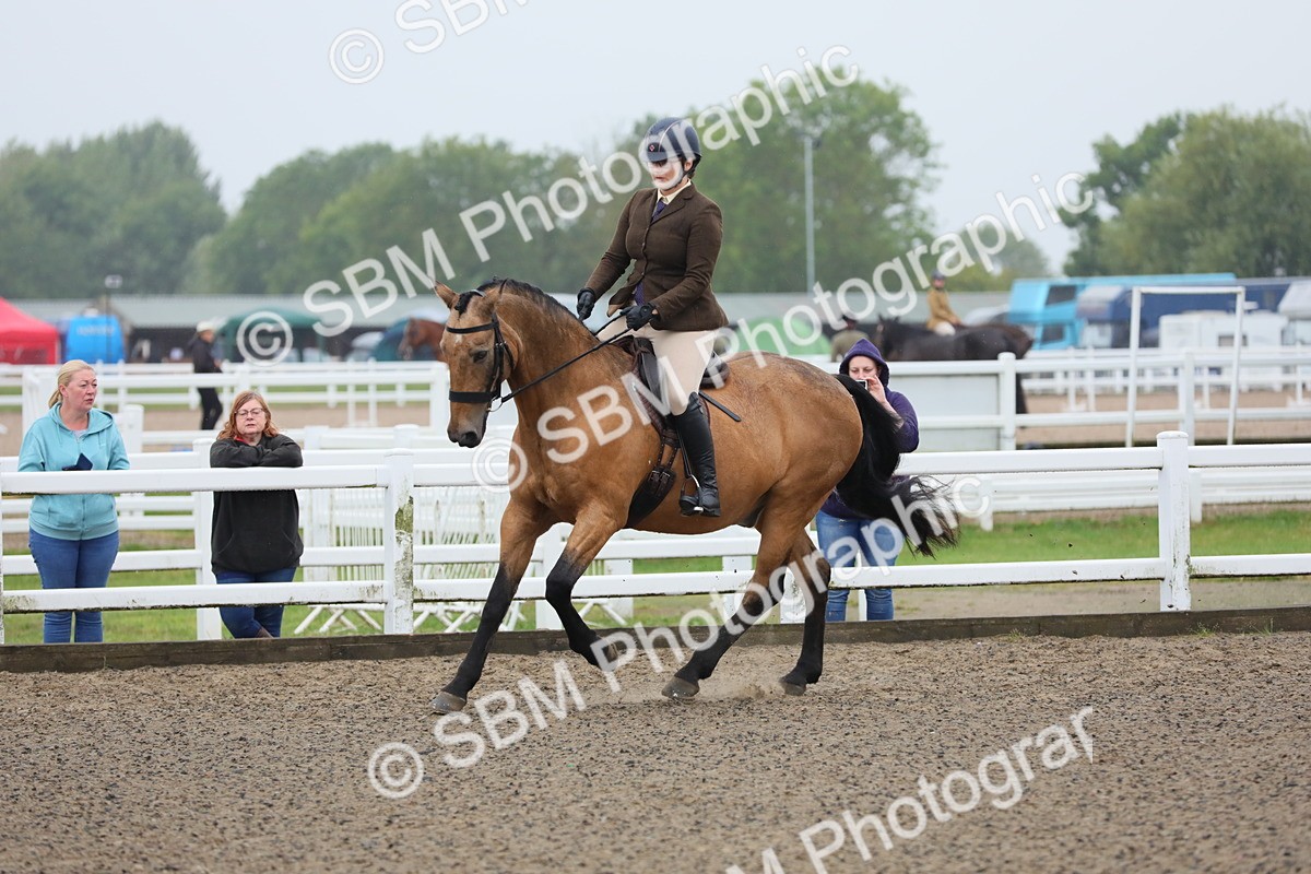 SBM_19913 - Class 801 - Ridden Veteran