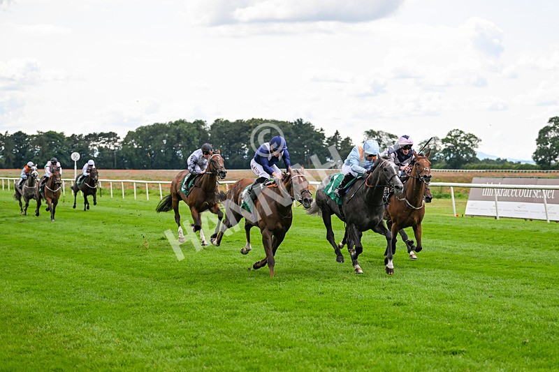 170724-Race 4-Bobby Bennu-0118 - Race 4