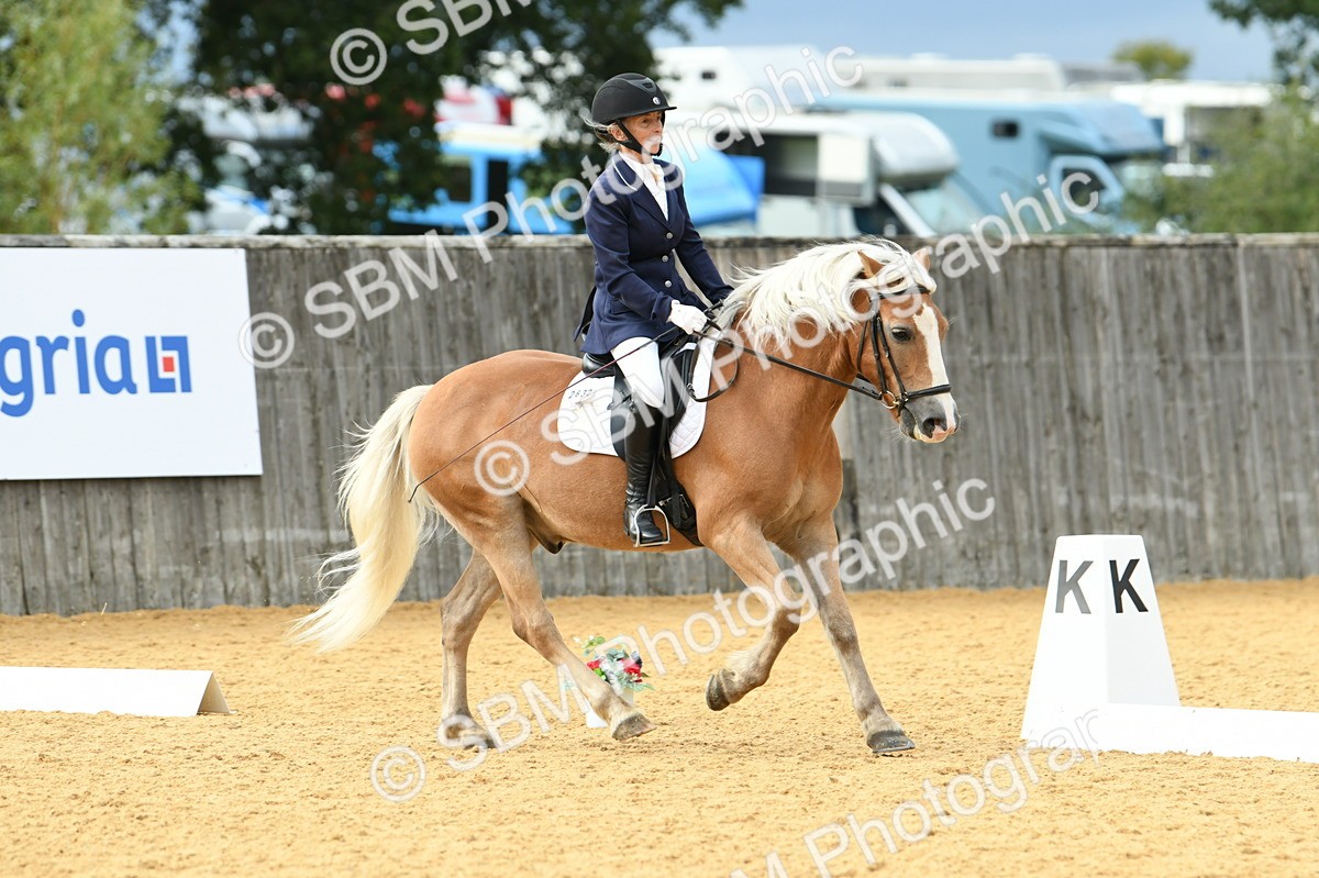 SBM_10912 - D28 Elementary Taster Elementary 42