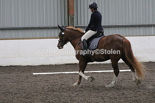 SIAL5660 - CAbin Dressage 5th july 2025