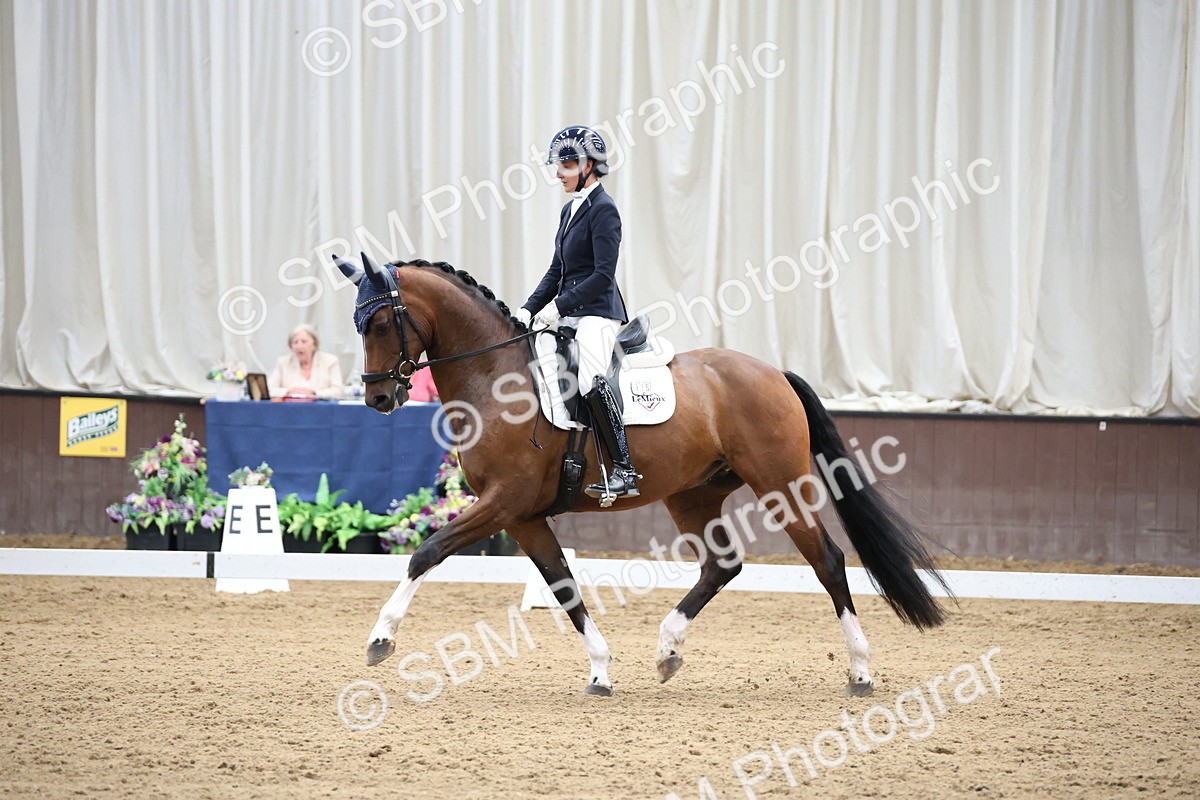SBM_002871 - Class 5 - Novice 6 Gold - 10.24-11.30