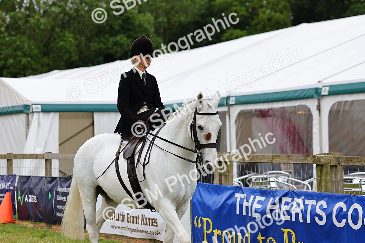 SBM_02915 - Class 9-11 Side Saddle including LIHS Rising Star Ladies Show Horse
