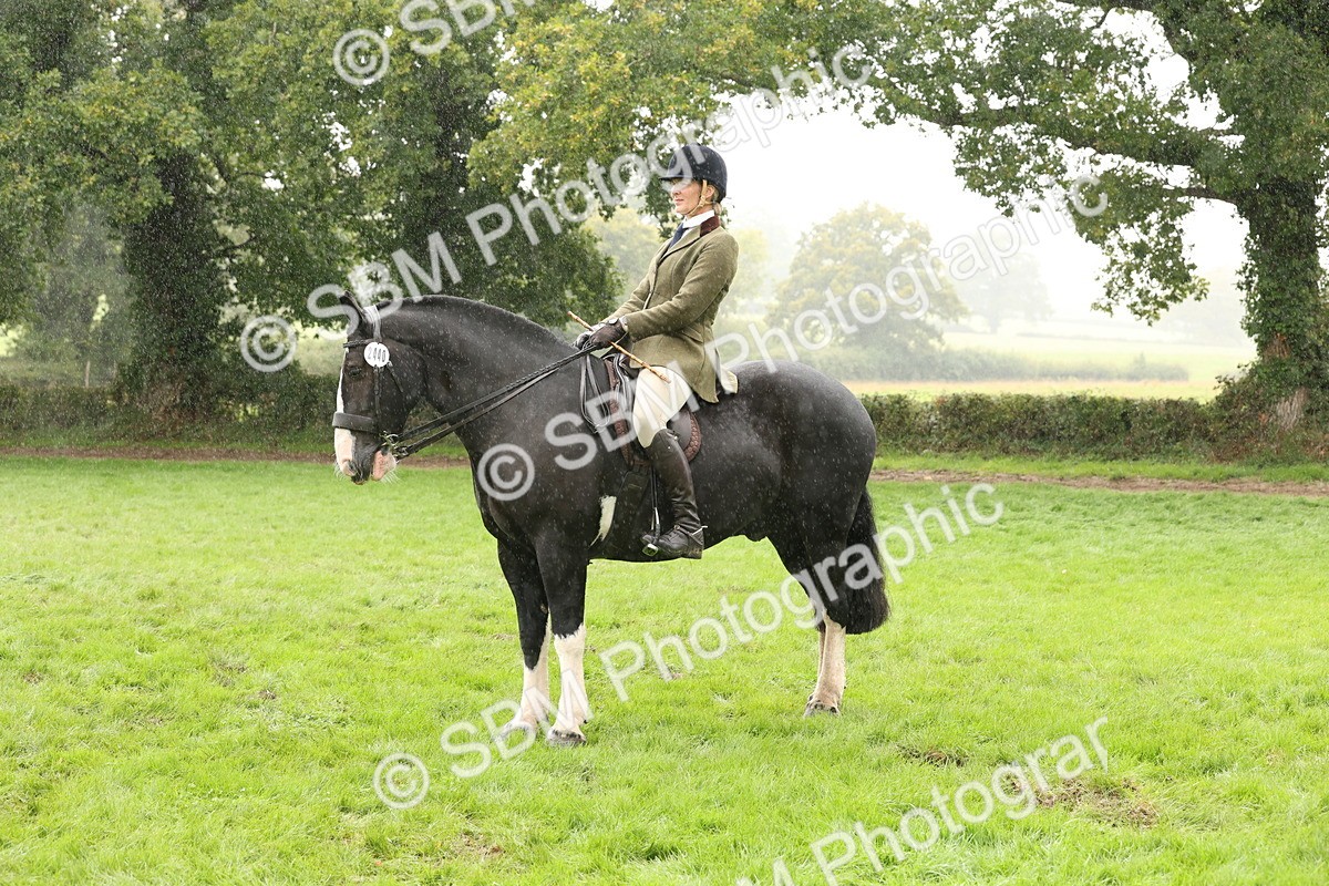 SBM_69839 - S69 - Show Cob Ridden