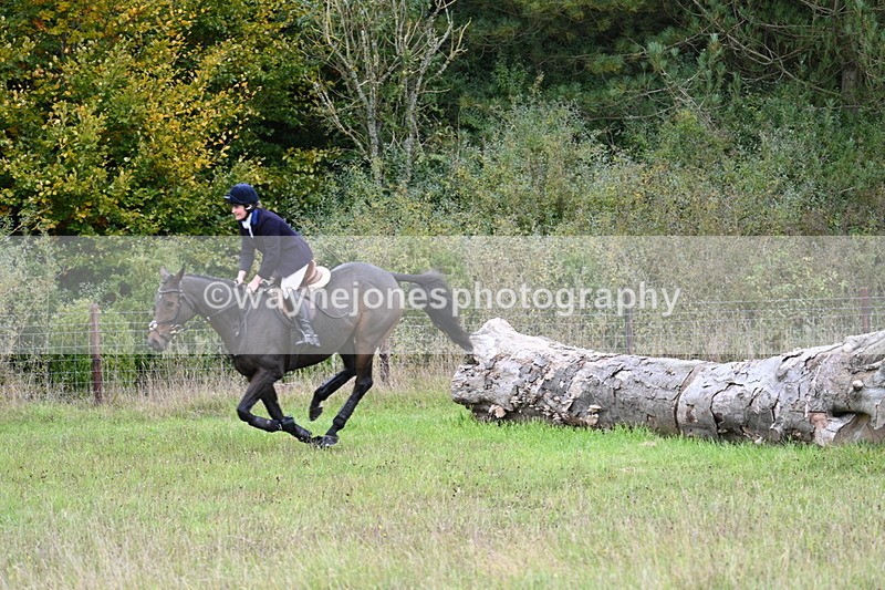 WJ7_3623 - Camera 1 Line 1