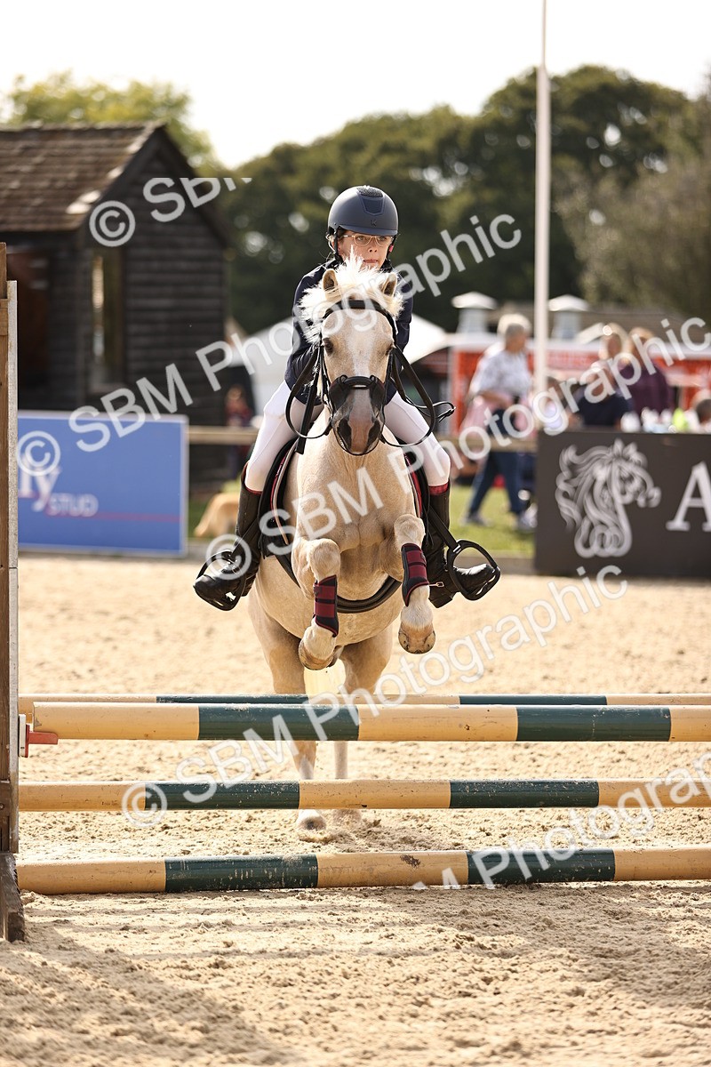 SBM_69576 - J13 - Junior Pony 60cm Championship