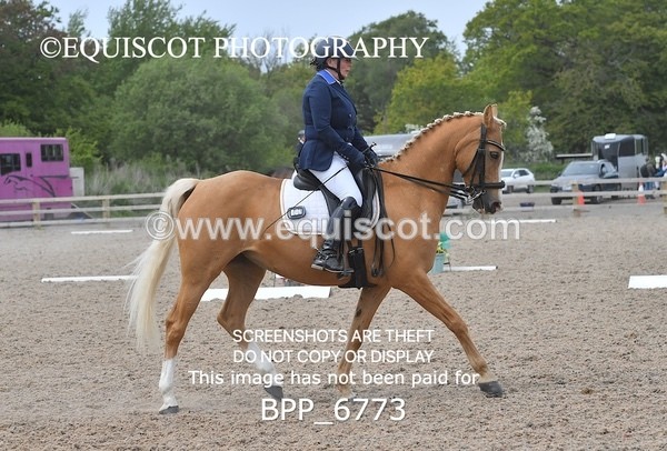 BPP_6773 - 3 D HARRISON