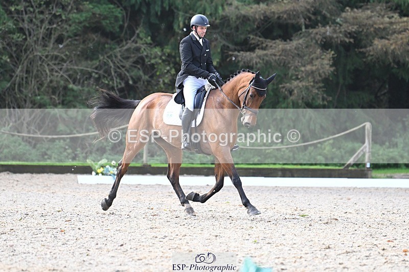 231019-110513-01729 - 036-DIAMANT.CRYSTAL.BLUE-Adam.Trew-DR