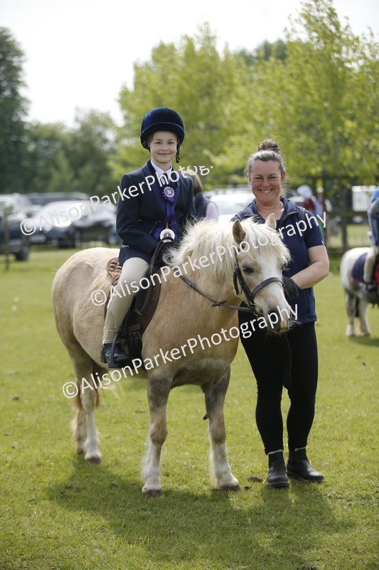 20260426-1917 - Class 7 - Pony Judge Would Most Like To Take Home
