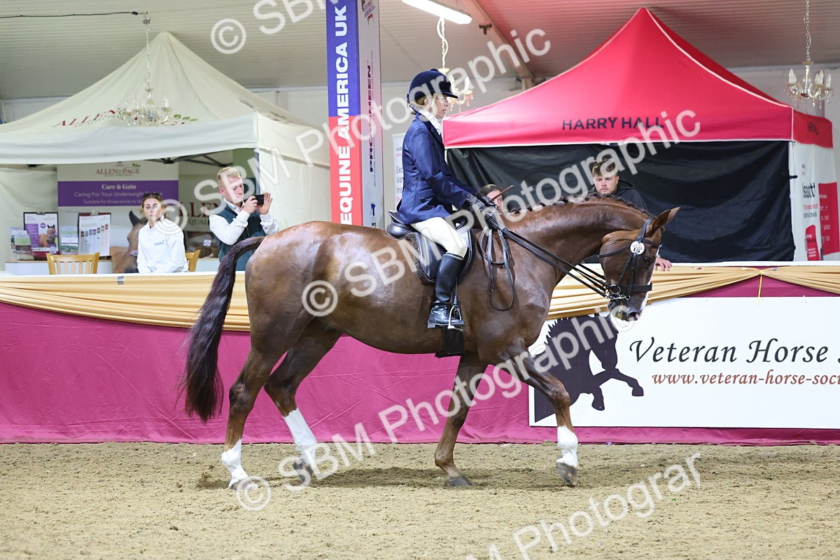 0B8A4476 - Class O Ridden Show Horse Champ