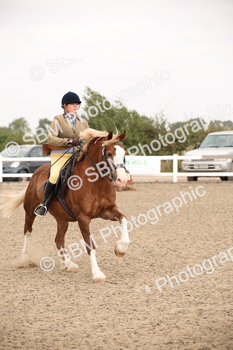 SBM_12598 - Class 405b - M&M Working Veteran 50cm 20+