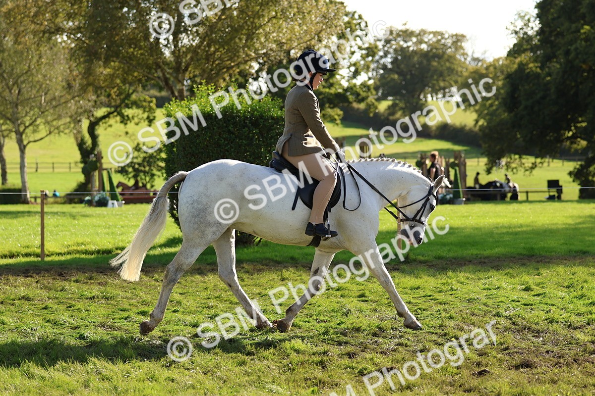 SBM_52386 - S13 - Pony Club Pony