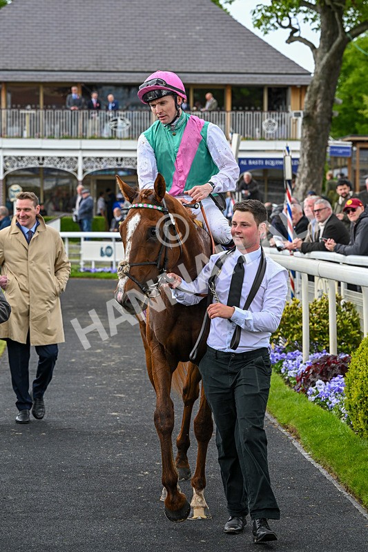 140526-Race 5-Item-5678 - Race 5 4.05pm Al Basti Equiworld Dubai Dante Stakes