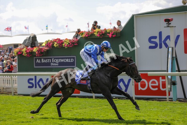yr20082022r1-32 - Race 1 1.50pm Sky Bet & Symphony Group Strensall Stakes