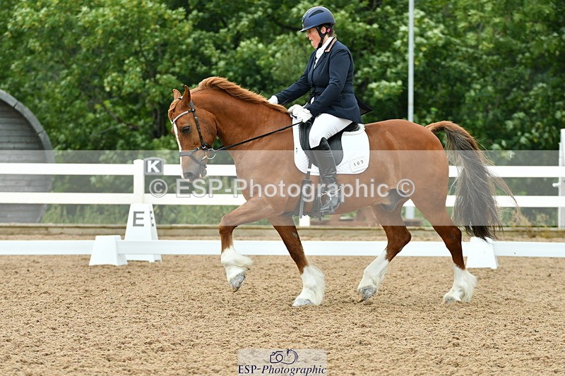 230708A-113058-01100 - Novice 23