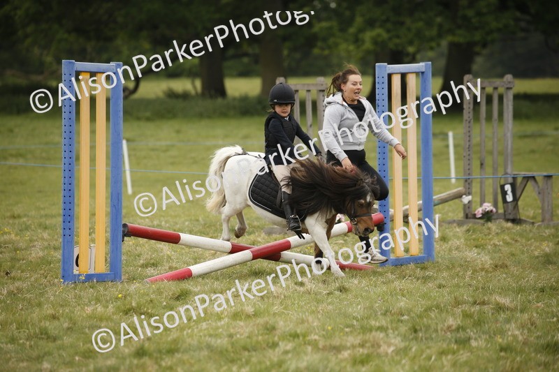20250517-0271 - Class 1 - 30cm On Lead Rein