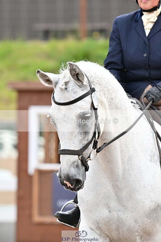 240817A-104324-07193 - 312-Carolyn.Day-Greycroft.Ronan