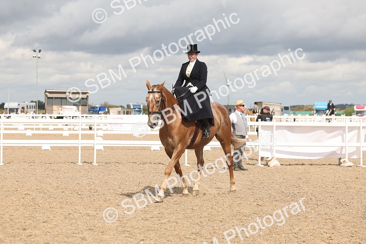 SBM_06367 - Class 22 - SSA - Equitation
