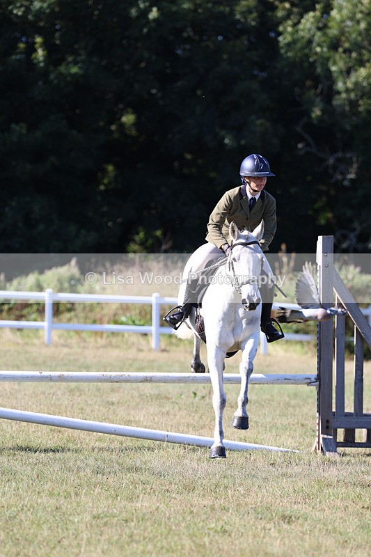 3E7A5411 - Class 3: Working Hunter 70cm