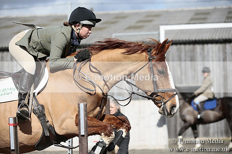BVRC SJ 170319 352 - Bourne Valley Riding Club Showjumping 17/03/19
