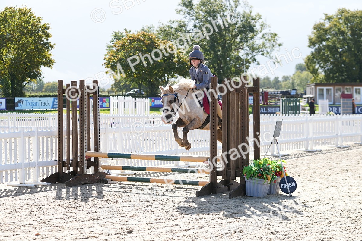 SBM_38317 - J6 - Junior Pony 55cm Championship