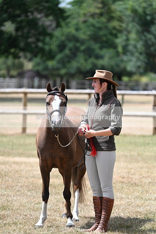 WJ7_1740 - Class 4 Prettiest Mare up to 14.2hh in hand