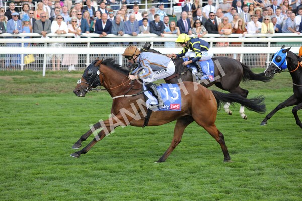 yr20082022r5-16 - Race 5 4.10pm Sky Bet Constantine Stakes