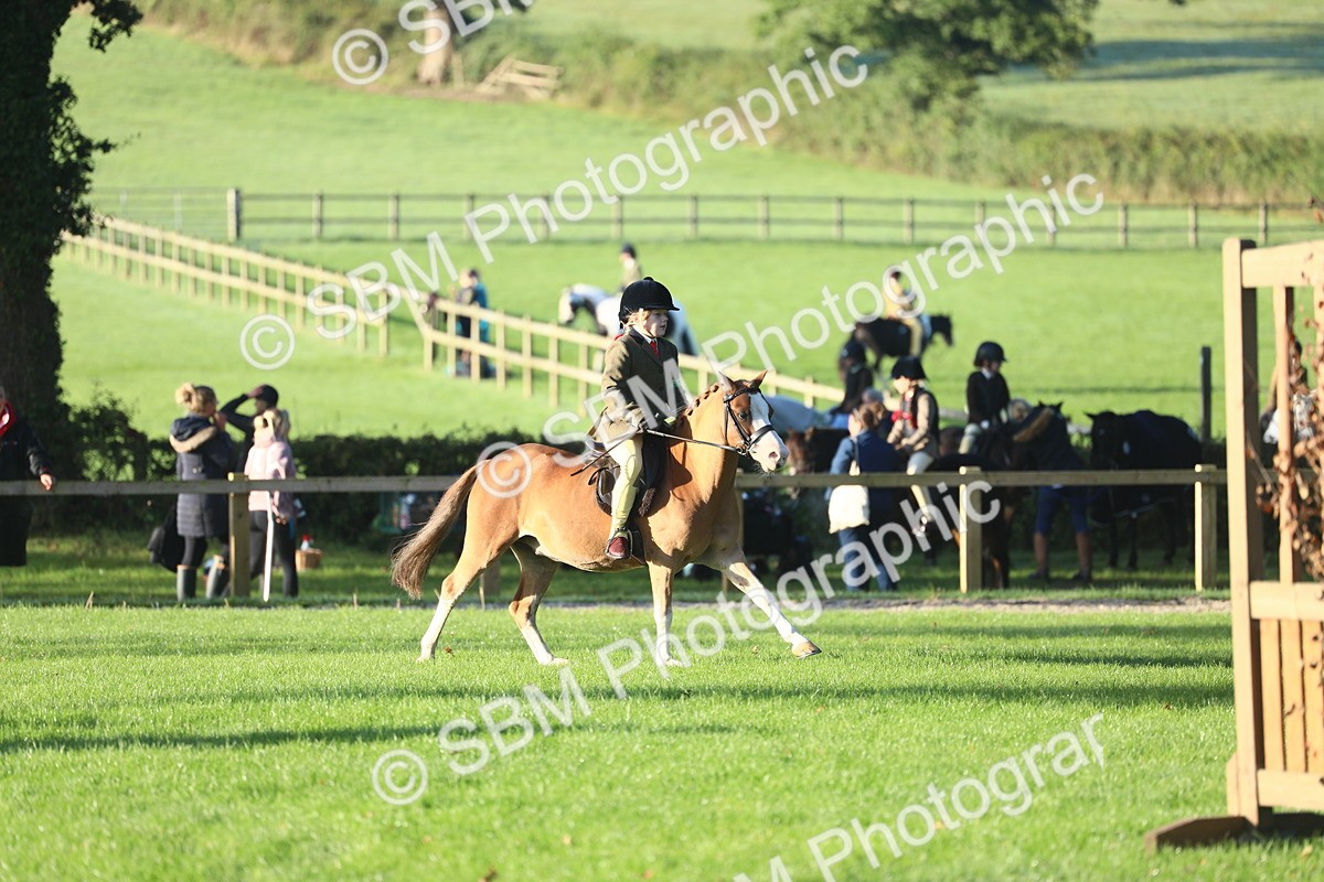 SBM_37226 - S29 - Novice & Newcomers Working Hunter Pony