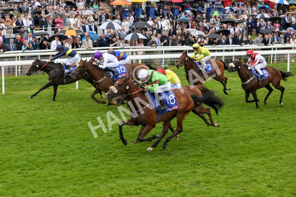 150624-Race 2-Tolstoy-6104 - Race 2 2.25pm Sky Bet Proud To Support Macmillan Handicap