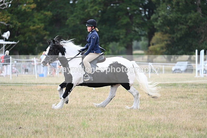 WJ7_5123 - Class 12 Ridden Cob