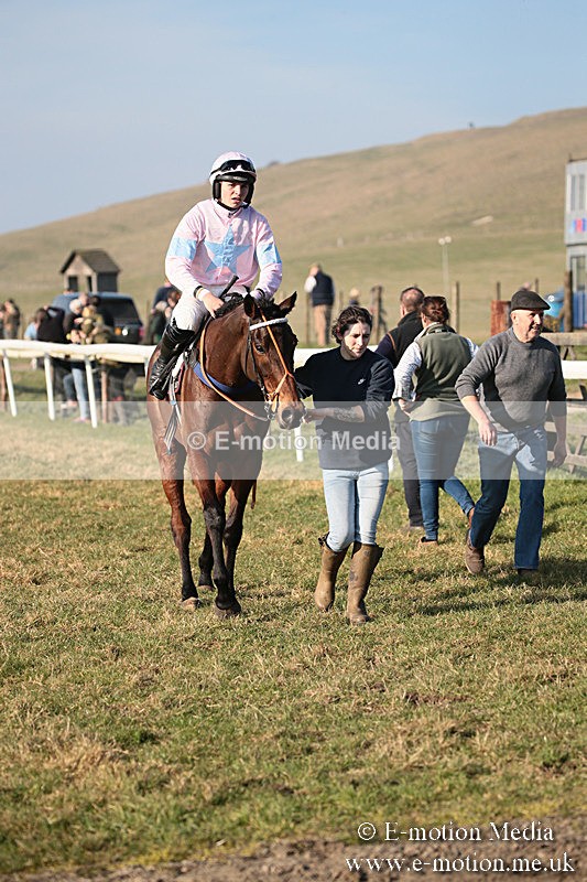 PtP 230219 464 - Vine & Craven Point-To-Point - Barbury 23/02/19