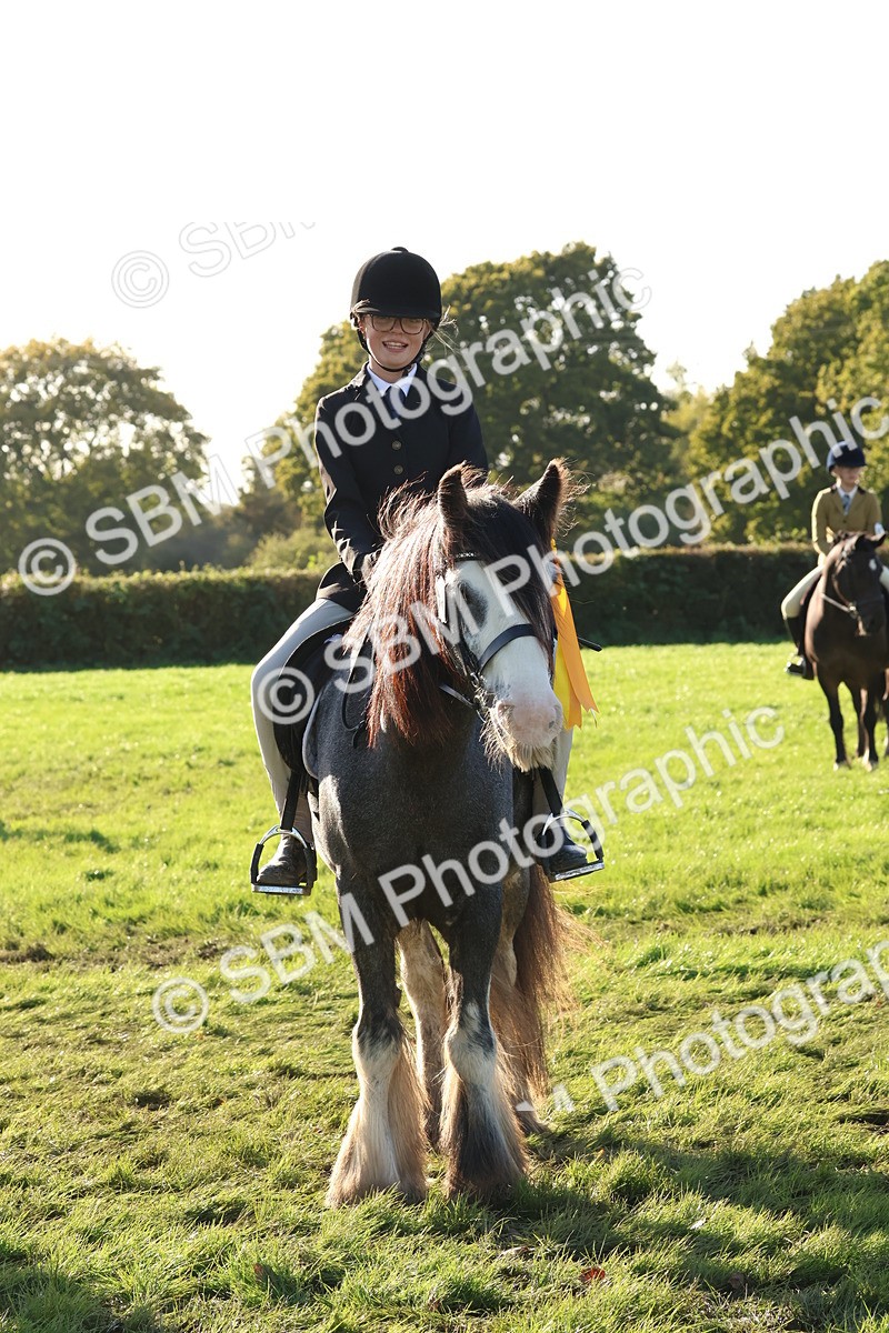 SBM_52680 - S13 - Pony Club Pony