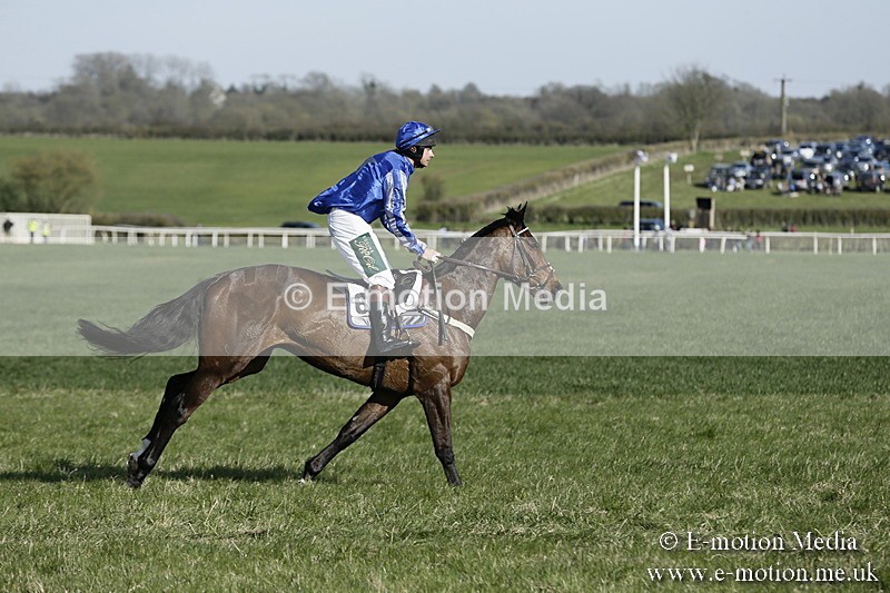 PtP 250317 247 - V.W.H. Hunt Point-to-Point Siddington 25/03/17