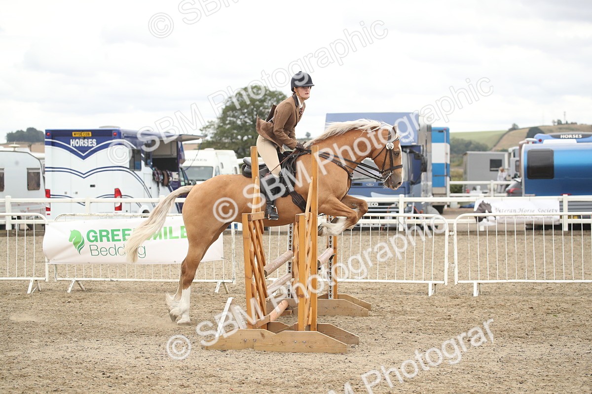 SBM_18307 - Class 509a - Working Veteran - 80cm (15-19)