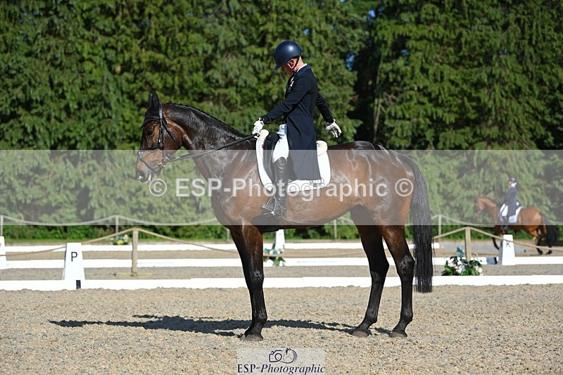 230526-172129-07583 - 262-TREAMBLE-Finn_Healy-WEDTrotUp+DR