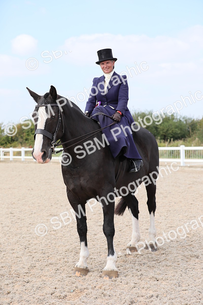 SBM_14632 - Class 211 Best Side Saddle Horse/Pony