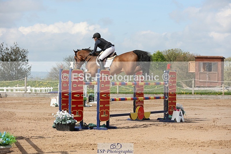 250427-110922-15830 - Cls 36 Young Horse 7yr old