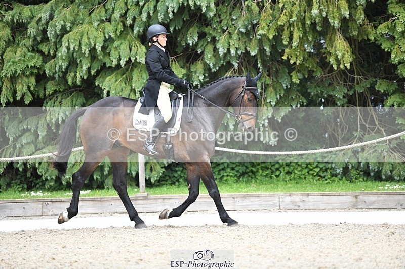 230525-152544-03247 - 326-GULLITH-Emily_Lochore-WEDTrotUp+DR