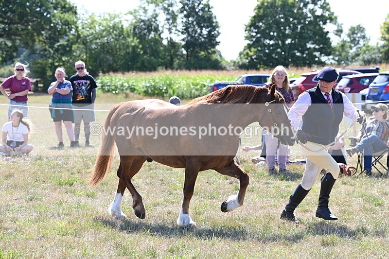 WJ6_4845 - Class 17 Mountain & Moorland
