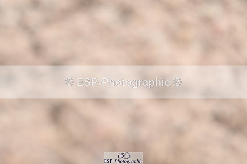 240622A-104508-08350 - Cls 31 BD Music Elementary