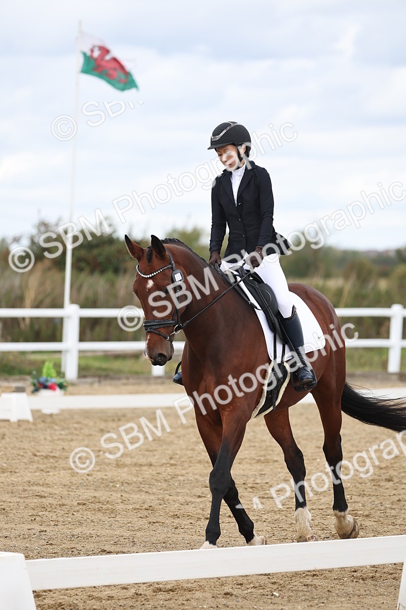 SBM_002525 - Class 7 - Novice 2 Warm Up