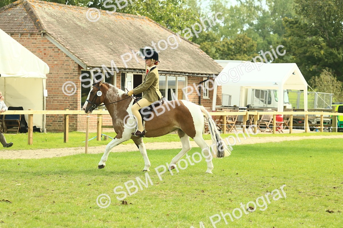 SBM_68111 - S57 - Part Bred Pony Ridden