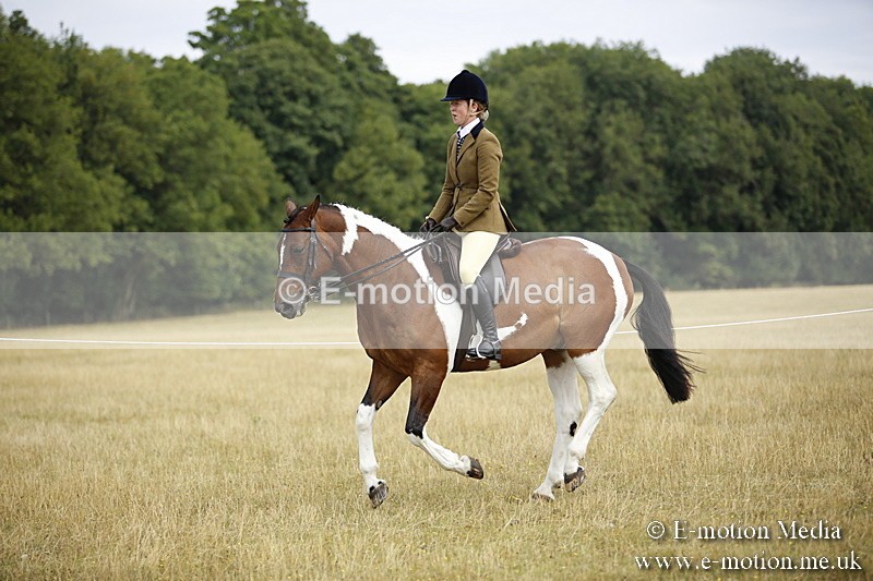 _C7A9515 - BVRC Show 2018 Ring 1