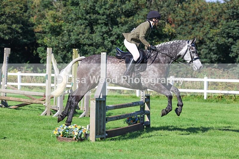 3E7A7772 - Class 2: Open Working Hunter pony