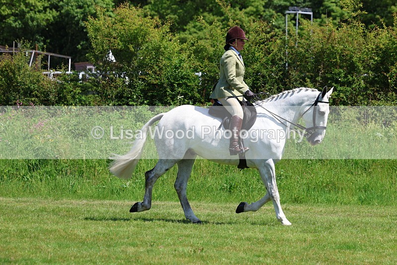 3E7A8200 - Class 13: Ridden Hunter