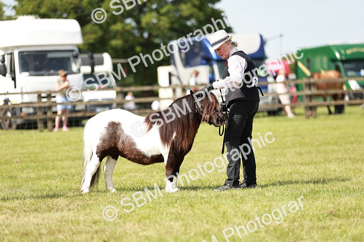 SBM_01999 - Class 14-23 - Mountain & Moorland In Hand Non Welsh