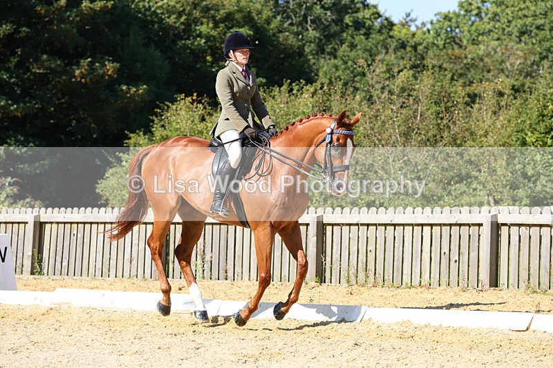 1X9A7881 - Class 10:Riding Horse