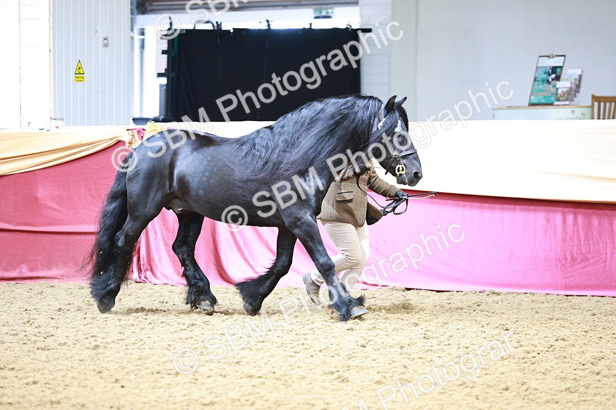 SBM_00895 - Class 2A - Area IH Veteran